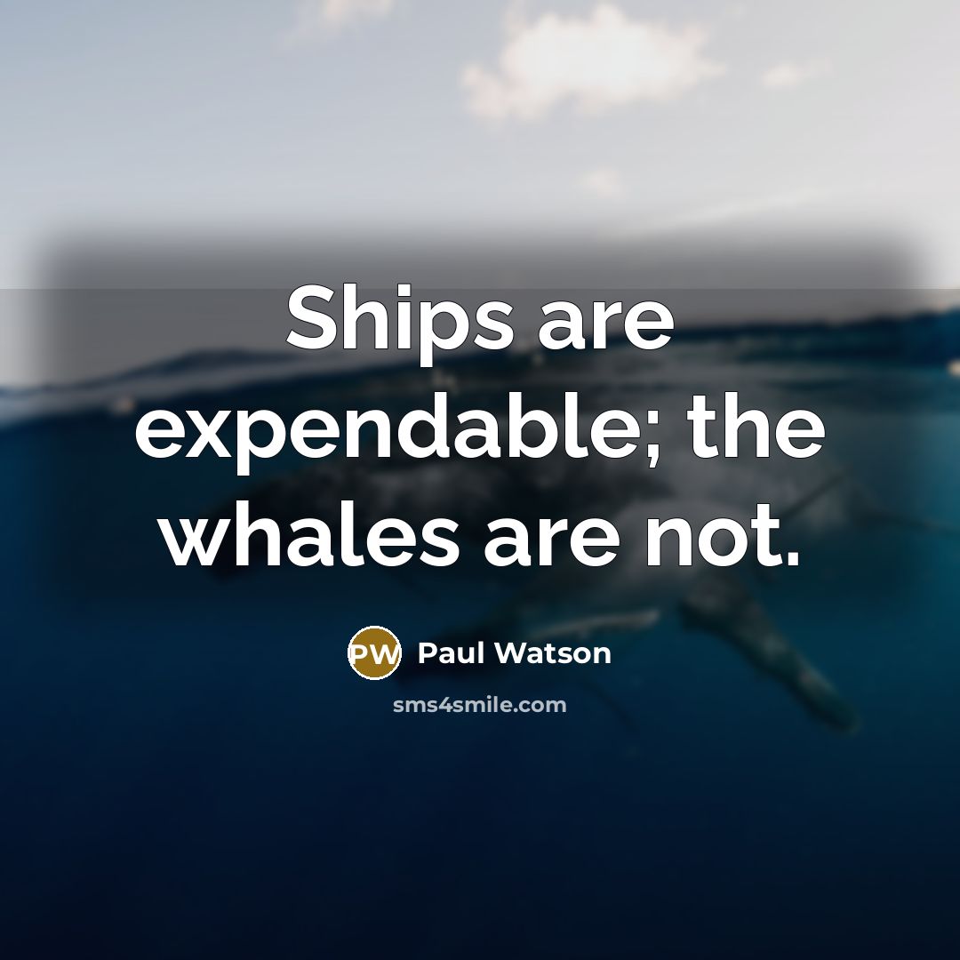 “Ships are expendable; the whales are not.…” quote by Paul Watson