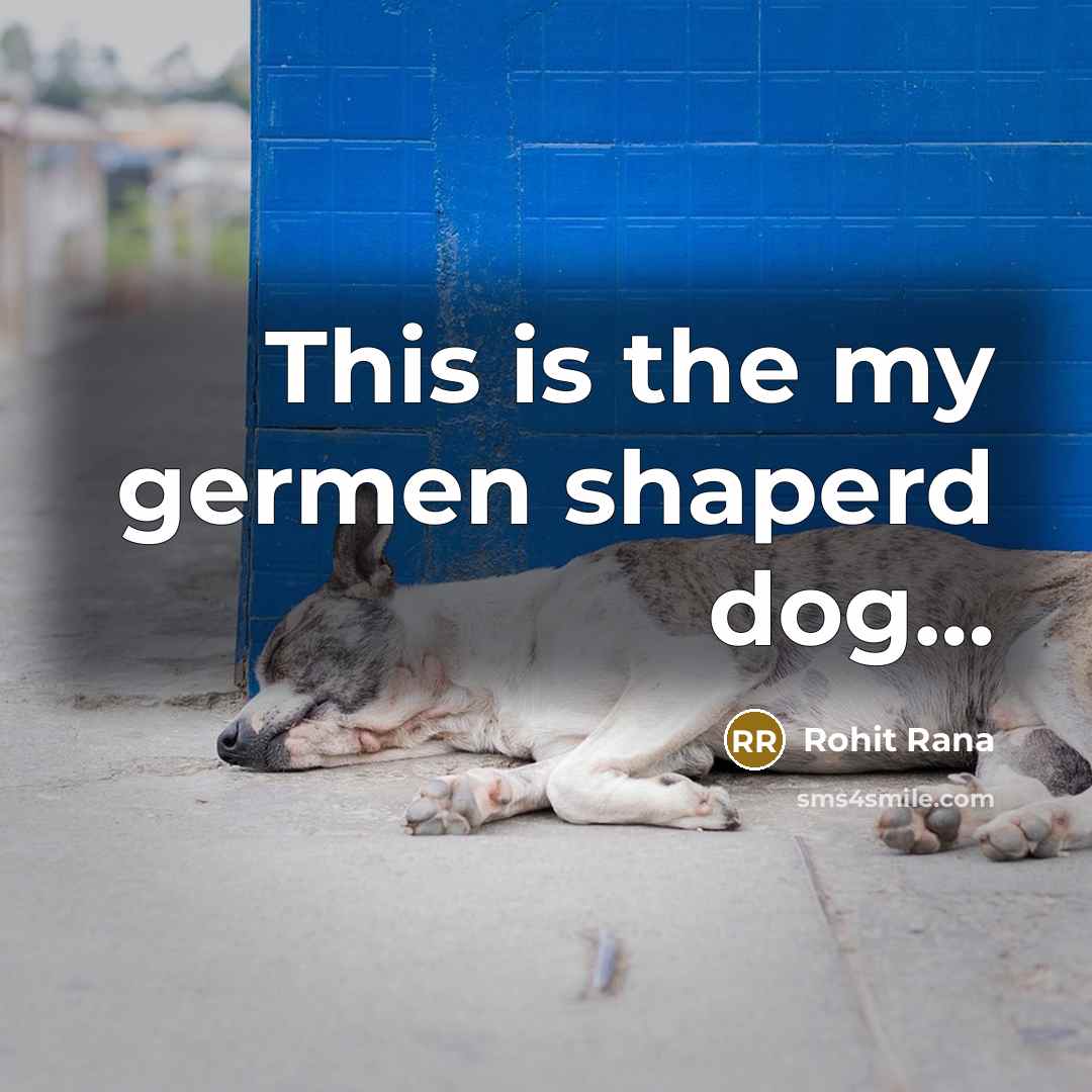 “This is the my germen shaperd dog......…” quote by Rohit Rana