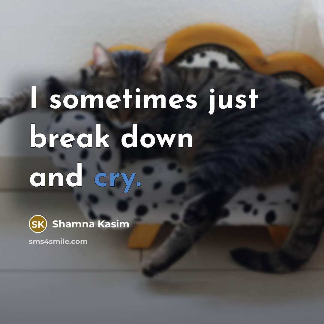 “I sometimes just break down and cry.…” quote by Shamna Kasim