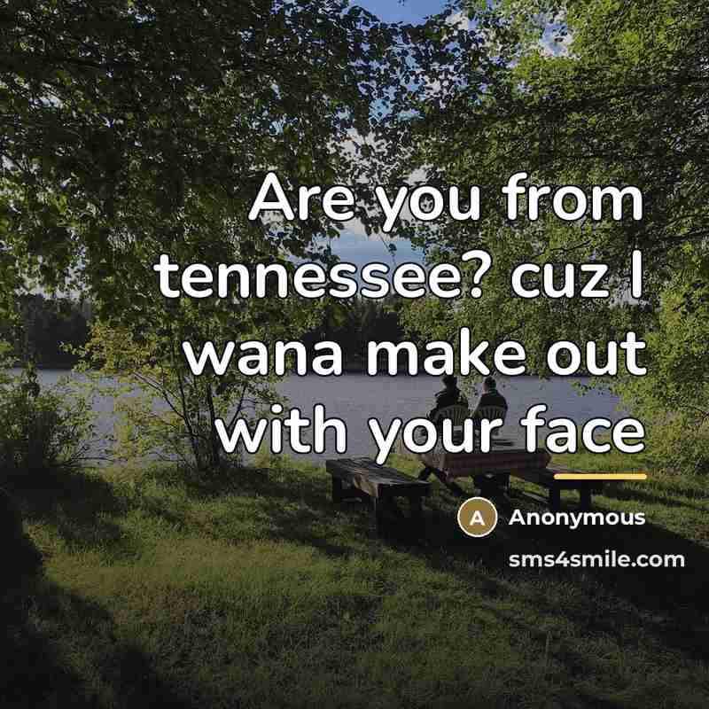 “Are you from tennessee? cuz I wana make out with…” quote by Anonymous