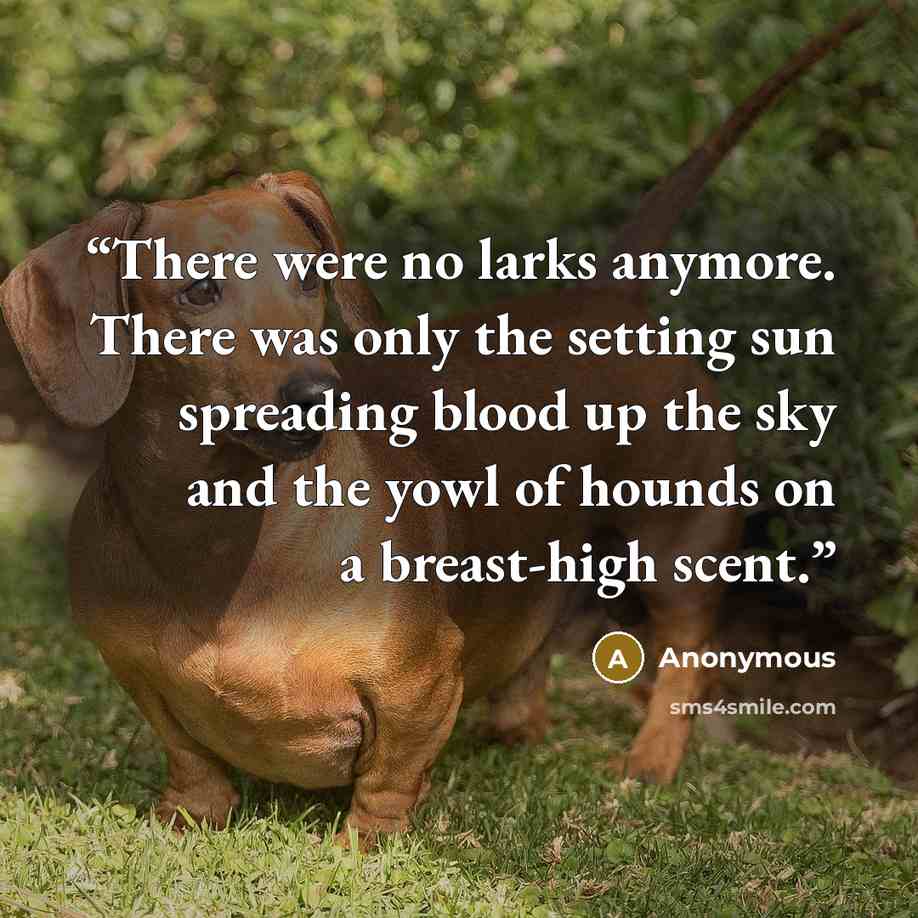 “There were no larks anymore. There was only the setting sun spreading blood up the sky and the yowl of hounds on a breast-high scent.” quote by Anonymous