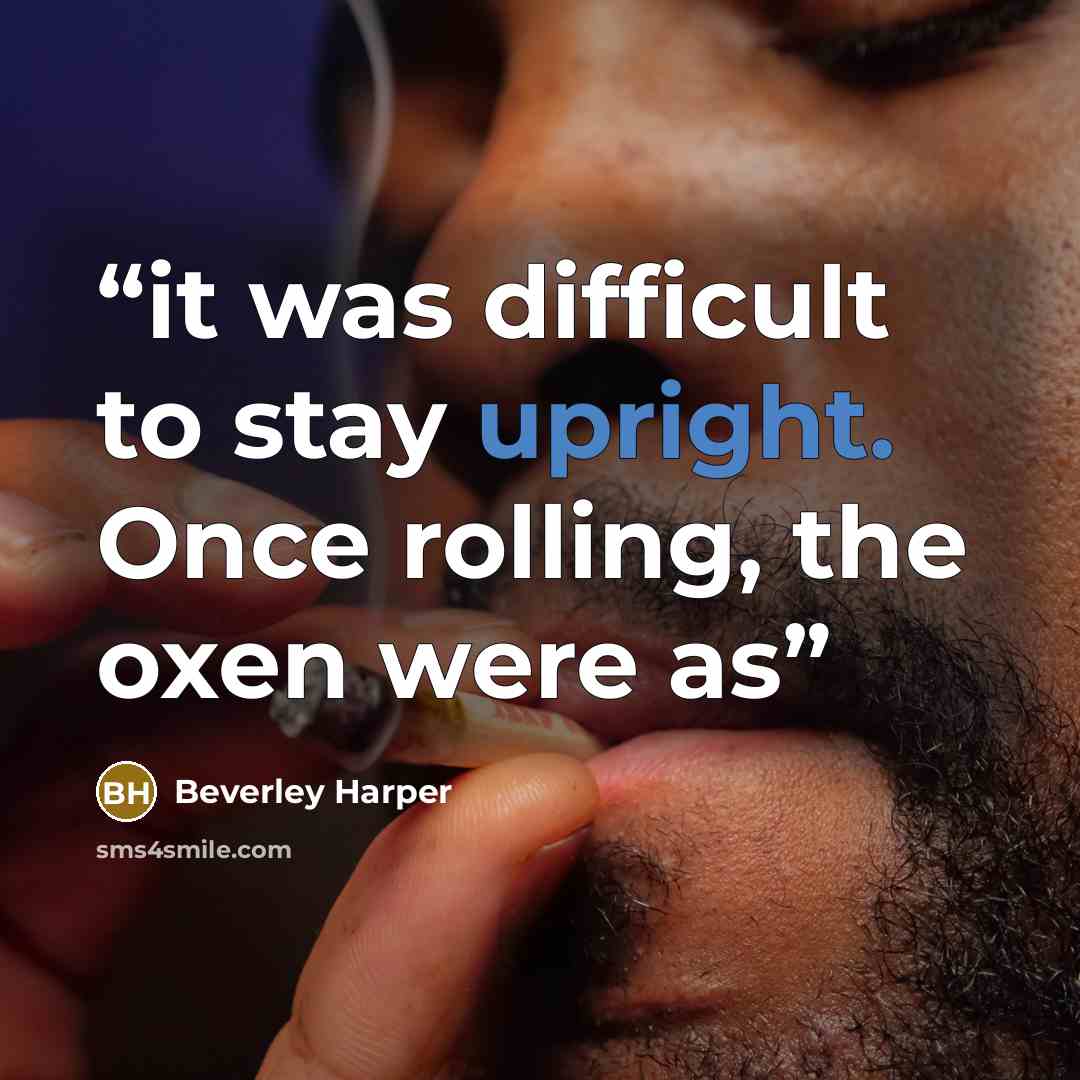 “it was difficult to stay upright. Once rolling, the oxen were as” quote by Beverley Harper