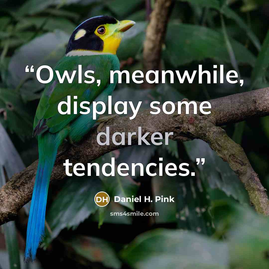 “Owls, meanwhile, display some darker tendencies.” quote by Daniel H. Pink