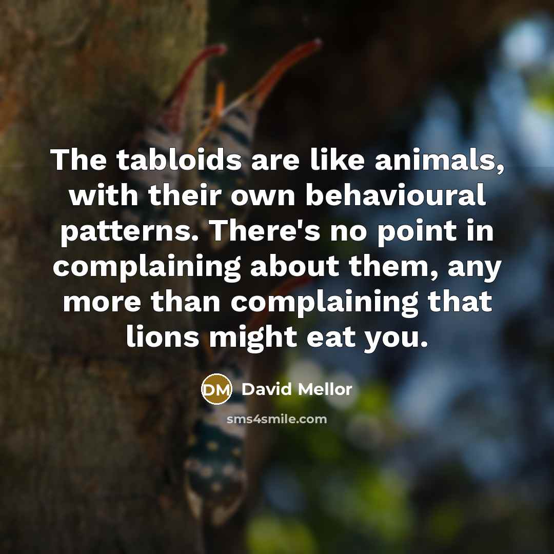 “The tabloids are like animals, with their own behavioural patterns.…” quote by David Mellor