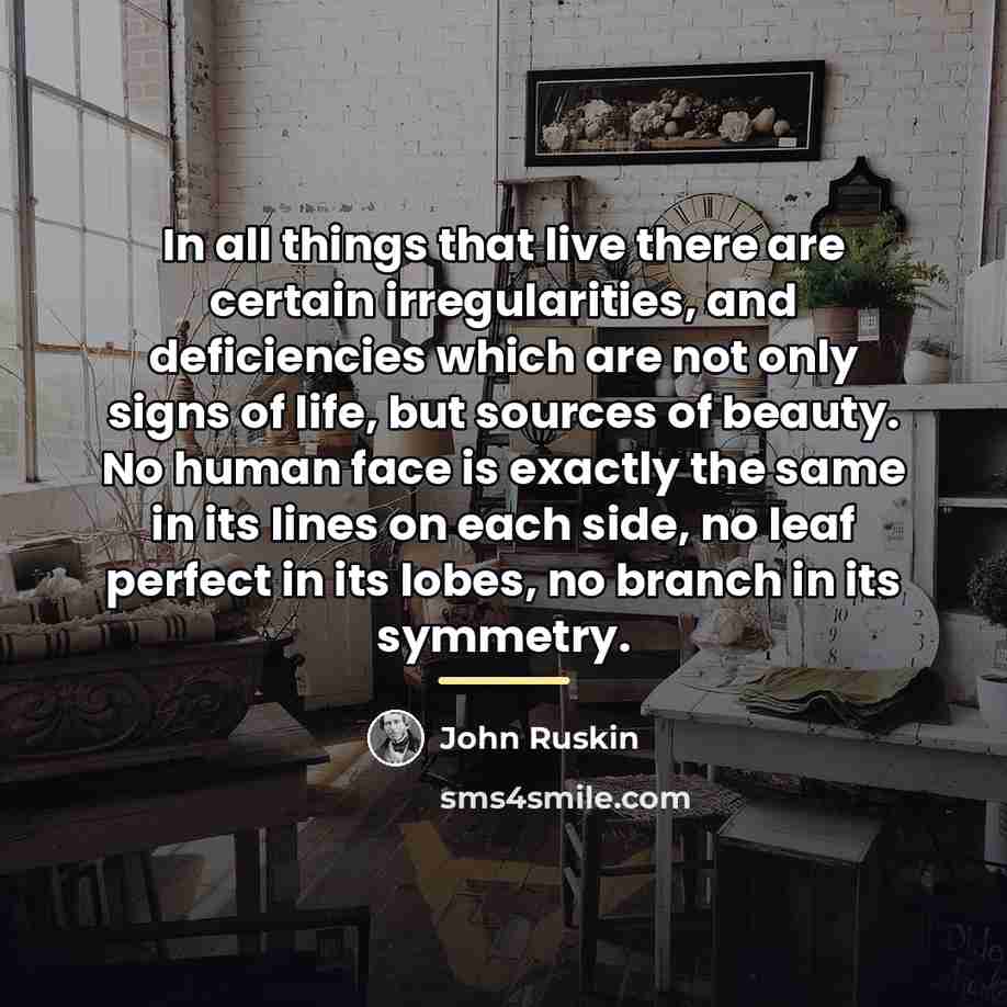 “In all things that live there are certain irregularities, and…” quote by John Ruskin