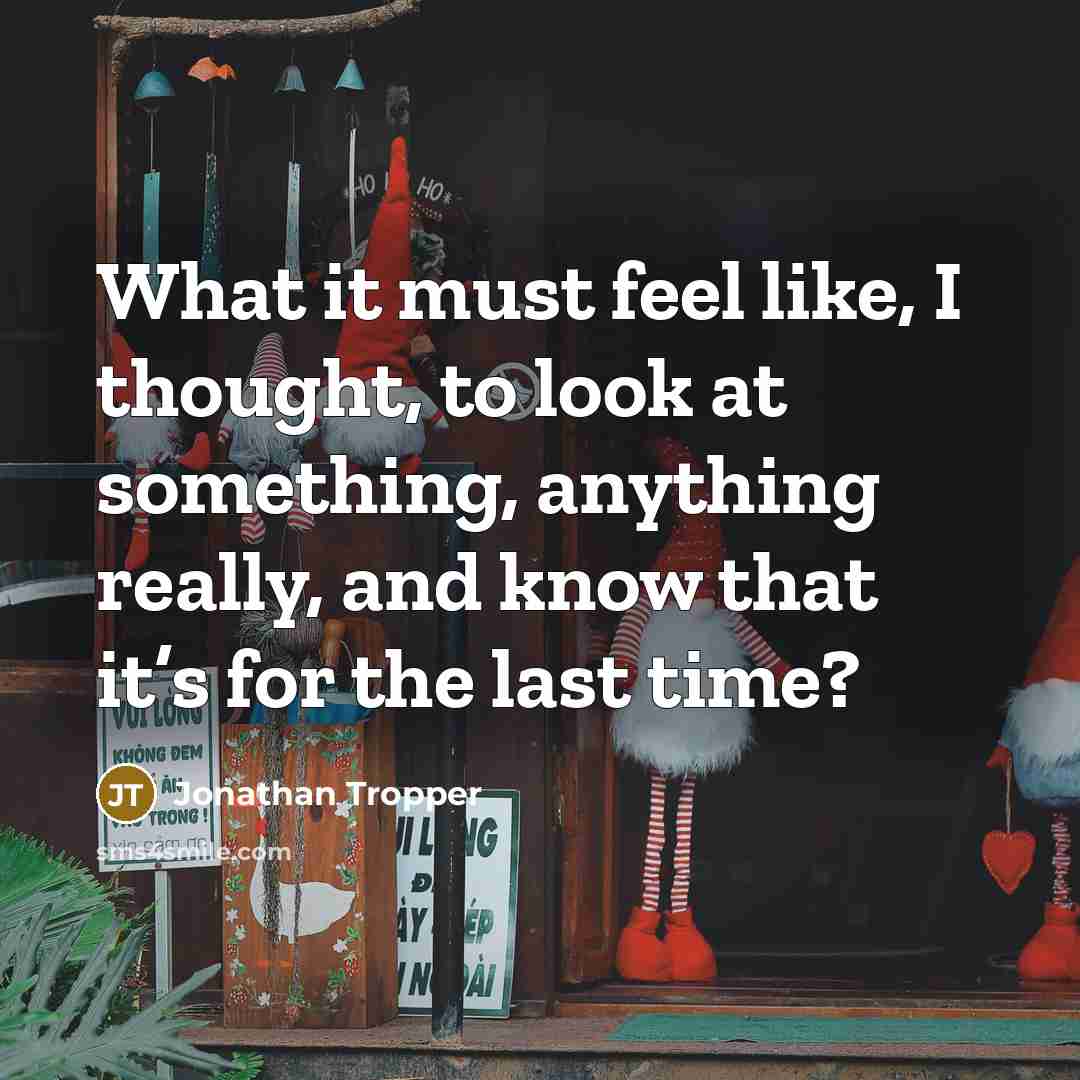“What it must feel like, I thought, to look at something, anything really, and know that it’s for the last time?” quote by Jonathan Tropper