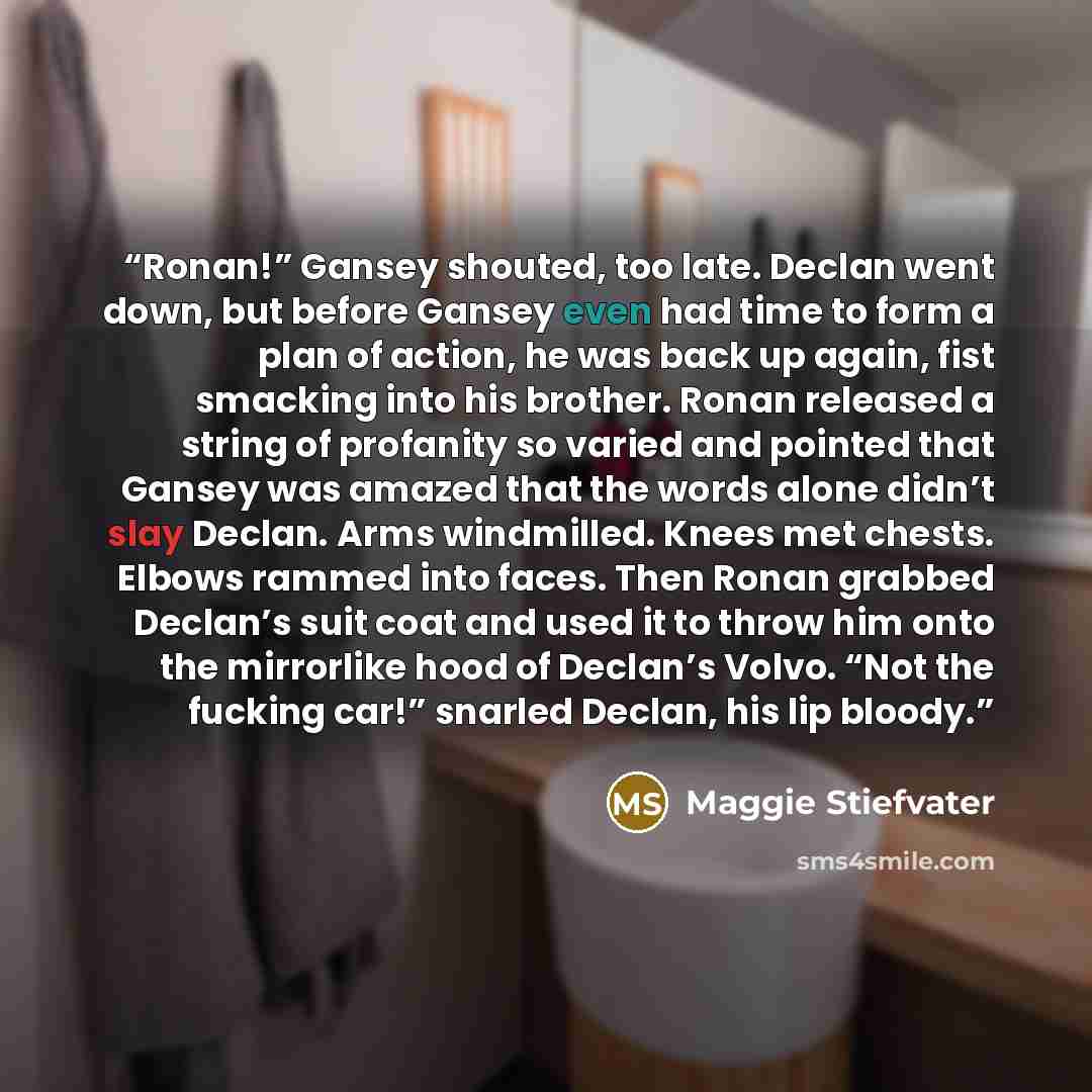“Ronan!” Gansey shouted, too late. Declan went down, but before Gansey even had time to form a plan of action, he was back up again, fist smacking into his brother. Ronan released a string of profanity so varied and pointed that Gansey was amazed that the words alone didn’t slay Declan. Arms…” quote by Maggie Stiefvater