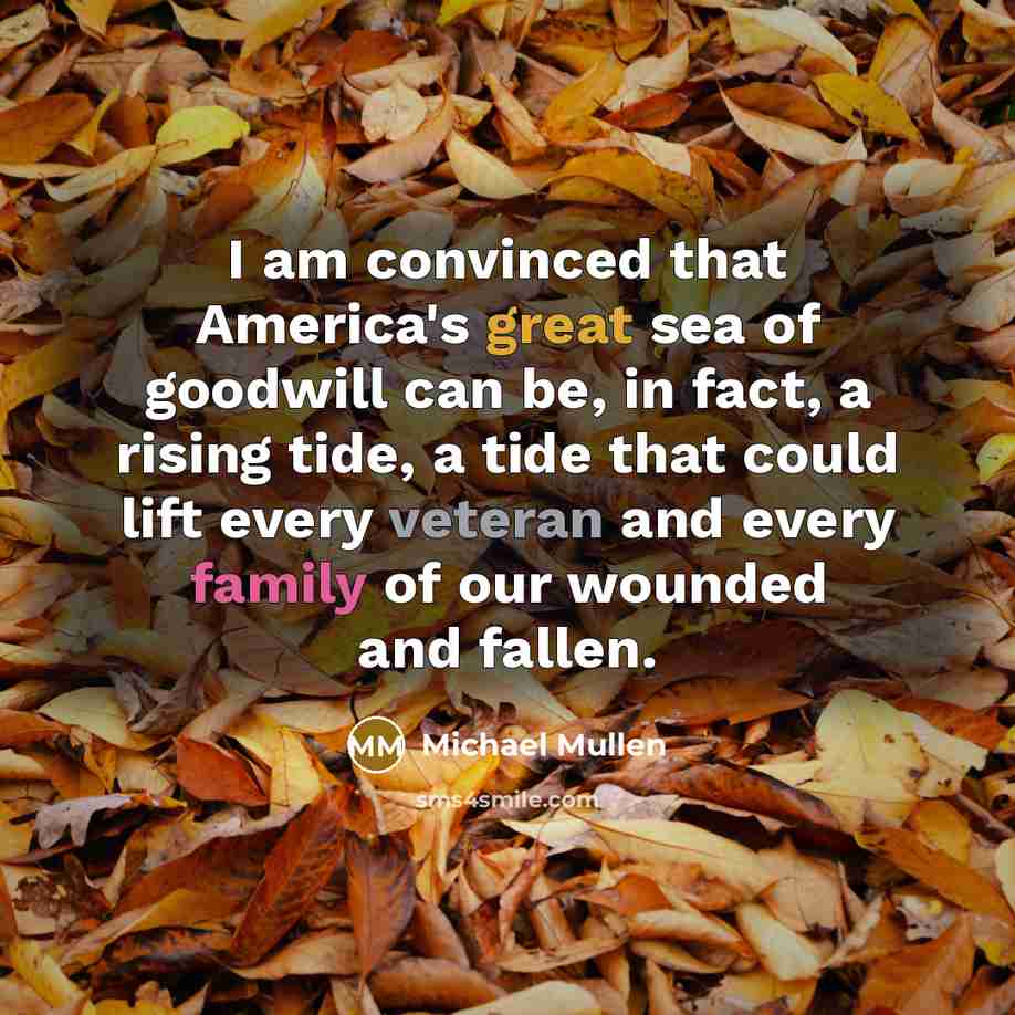 “I am convinced that America's great sea of goodwill can…” quote by Michael Mullen