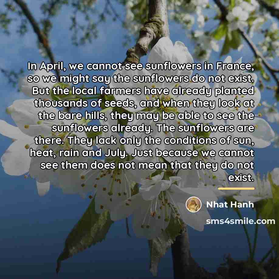 “In April, we cannot see sunflowers in France, so we…” quote by Nhat Hanh