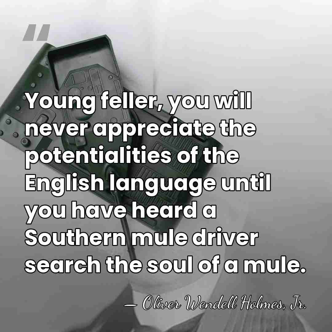 Young feller, you will never appreciate the potentialities of the English language&hellip; - Oliver Wendell Holmes, Jr.