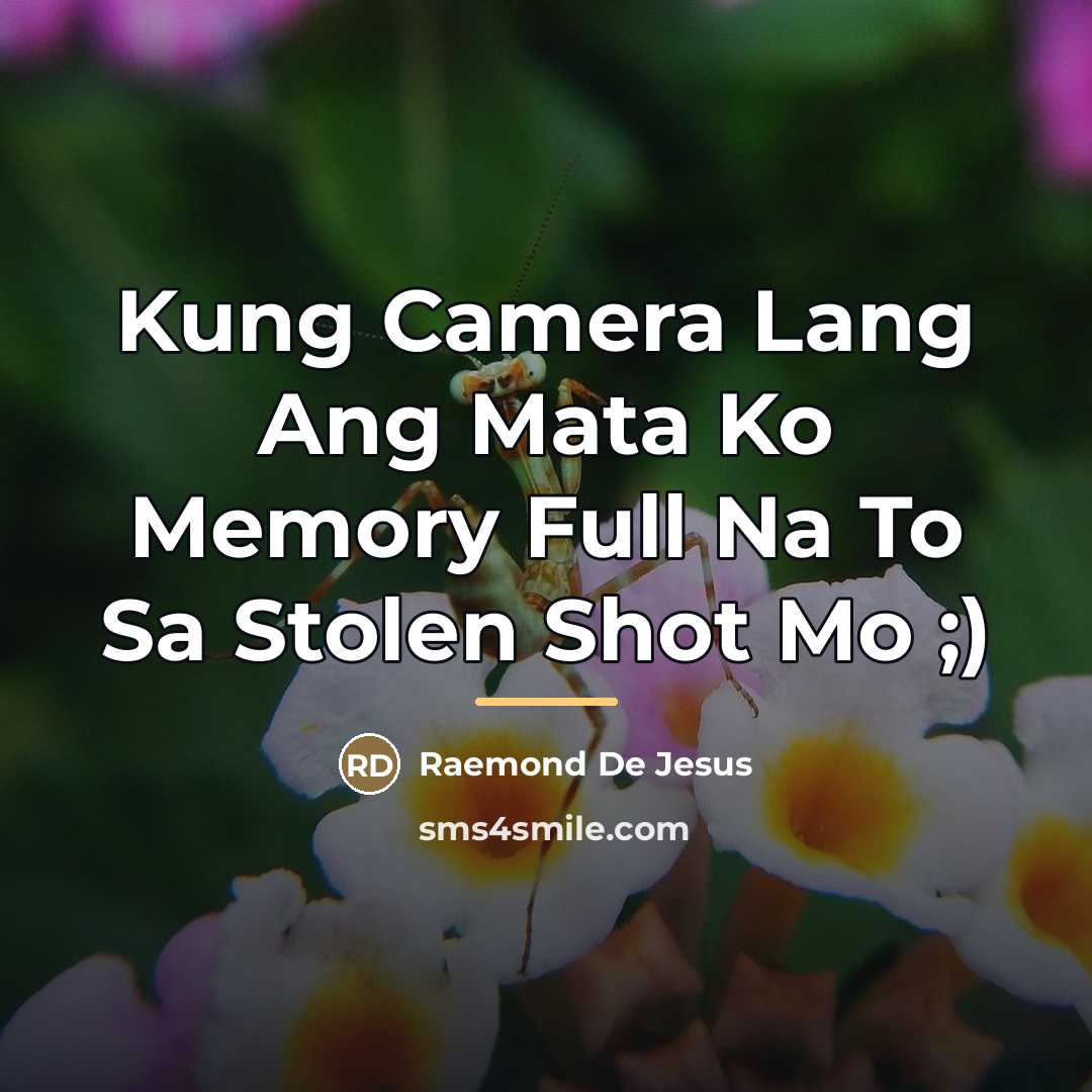 “Kung Camera Lang Ang Mata Ko Memory Full Na To…” quote by Raemond De Jesus