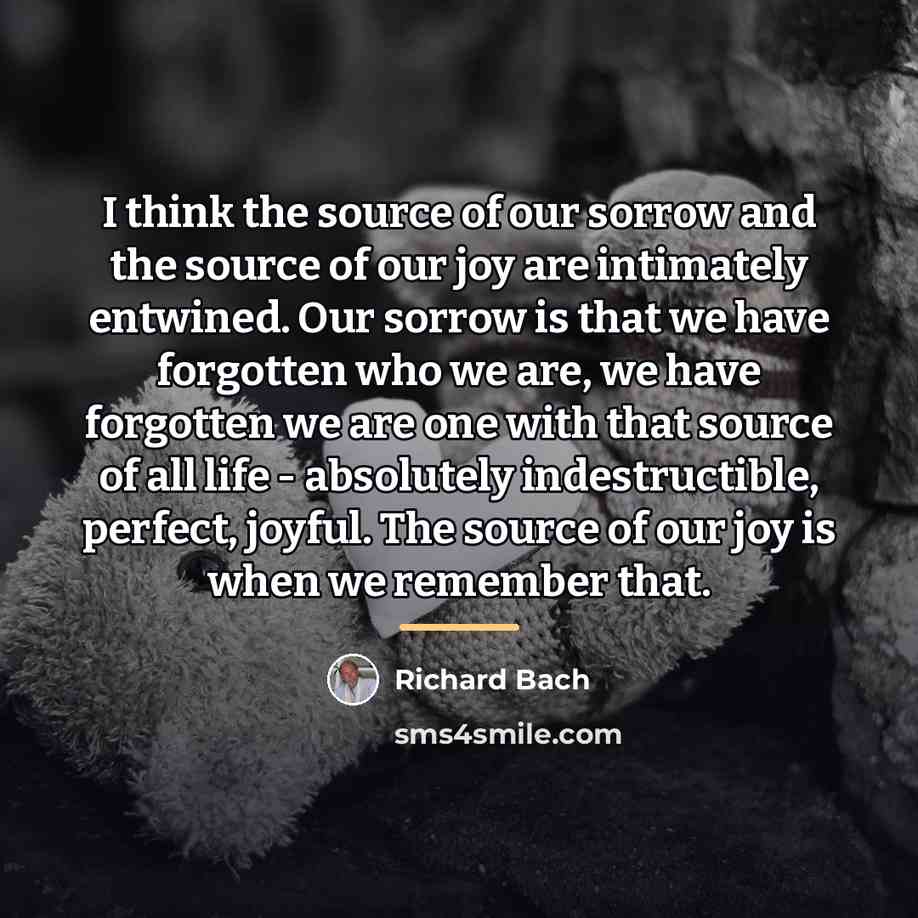 “I think the source of our sorrow and the source…” quote by Richard Bach