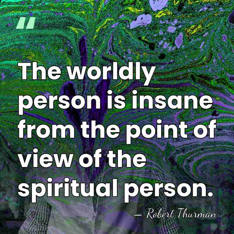 The worldly person is insane from the point of view of the&hellip; - Robert Thurman