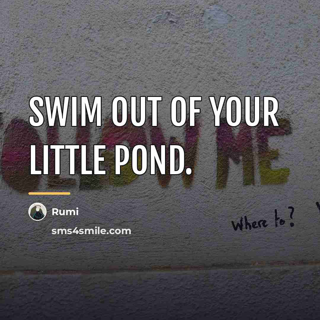 “Swim out of your little pond.…” quote by Rumi