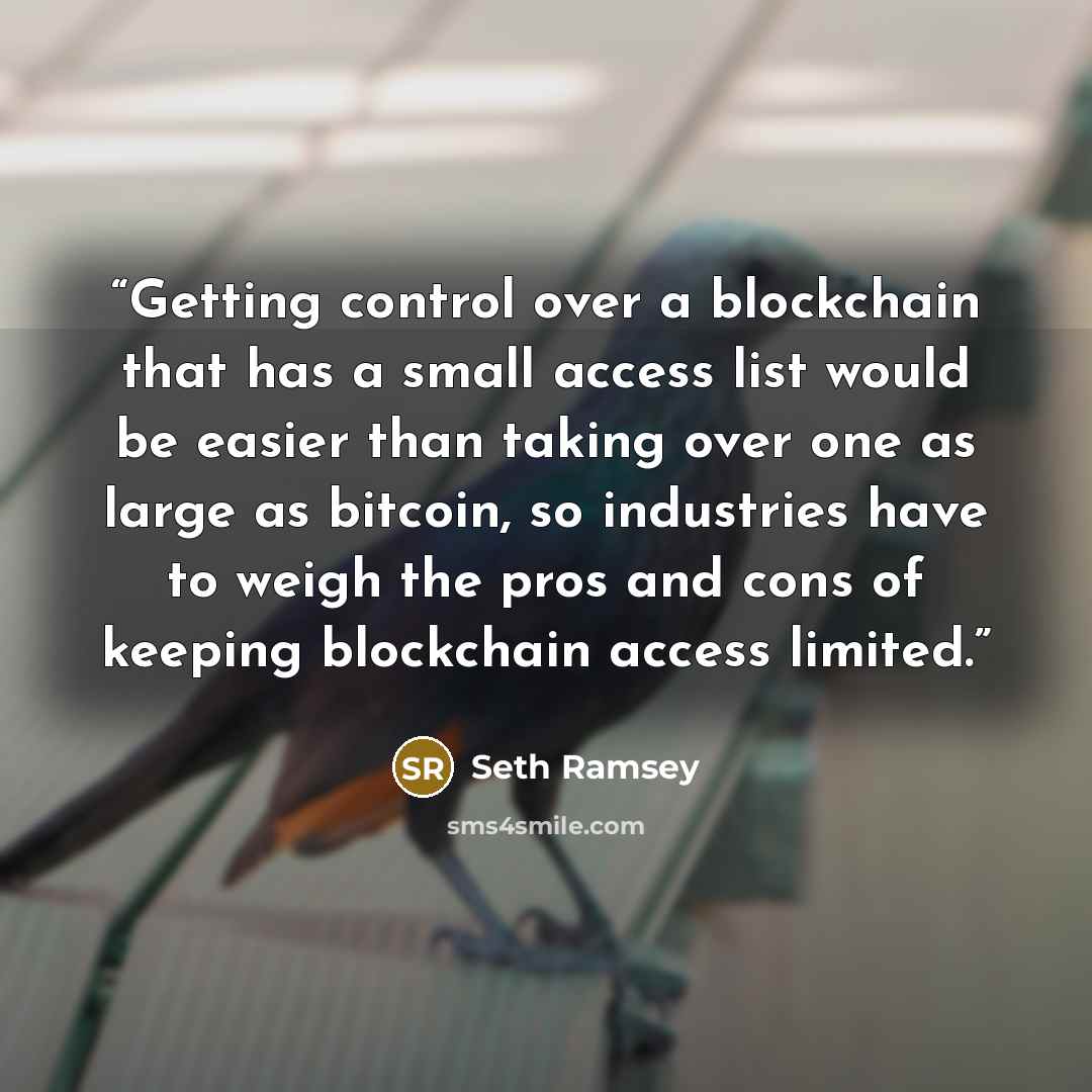 “Getting control over a blockchain that has a small access list would be easier than taking over one as large as bitcoin, so industries have to weigh the pros and cons of keeping blockchain access limited.” quote by Seth Ramsey