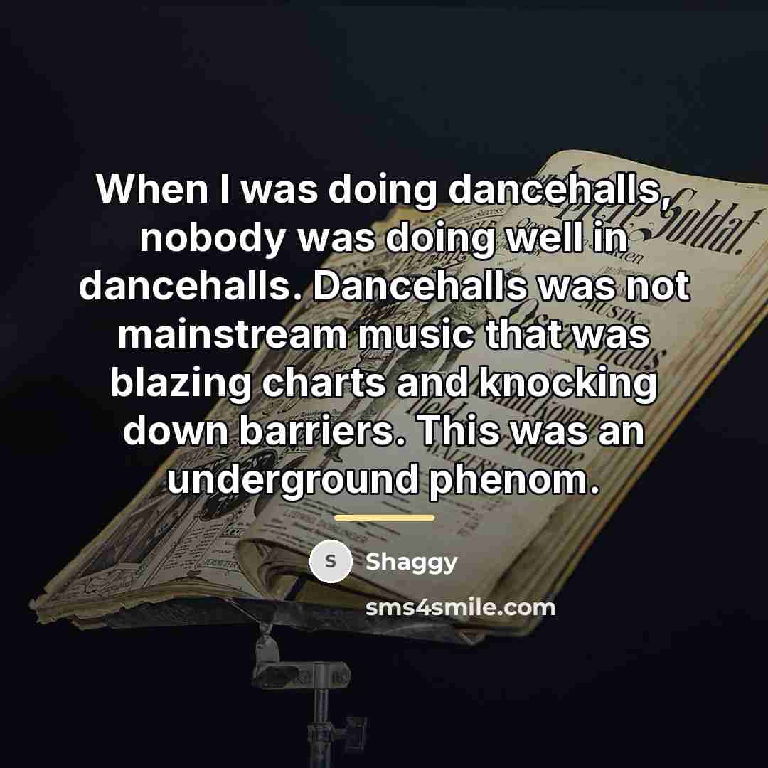 “When I was doing dancehalls, nobody was doing well in…” quote by Shaggy