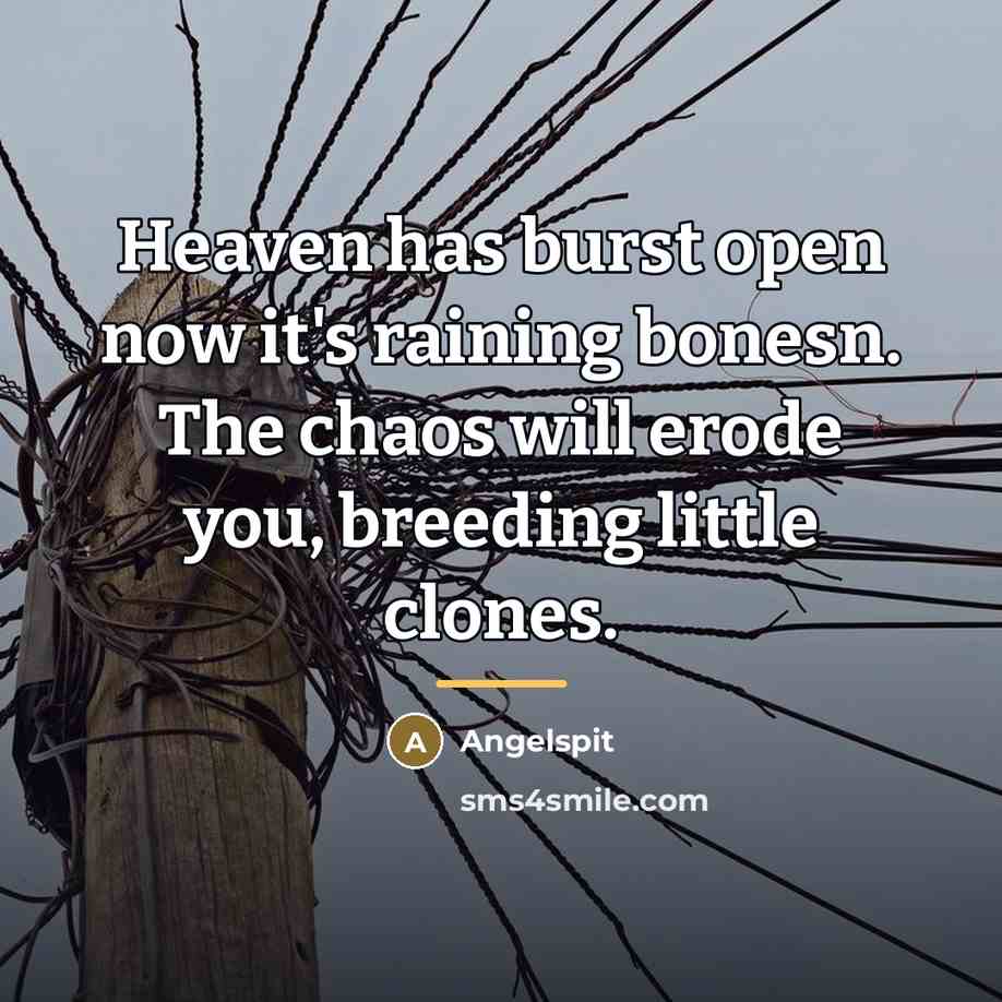 “Heaven has burst open now it's raining bonesn. The chaos…” quote by Angelspit