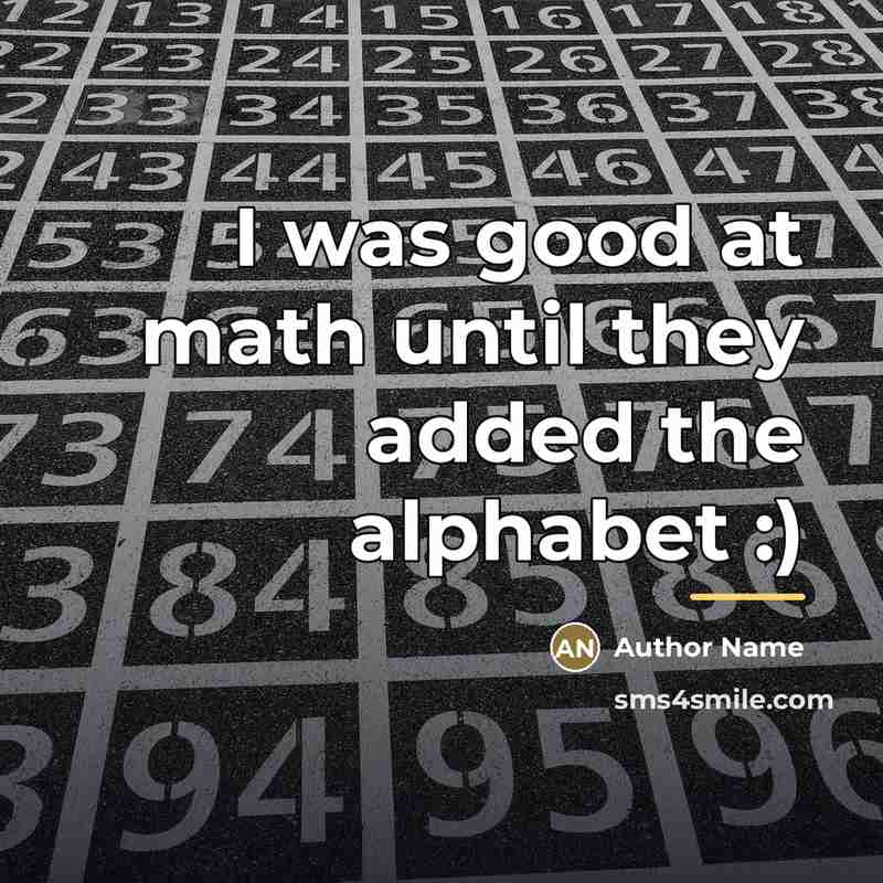 “I was good at math until they added the alphabet…” quote by Author Name