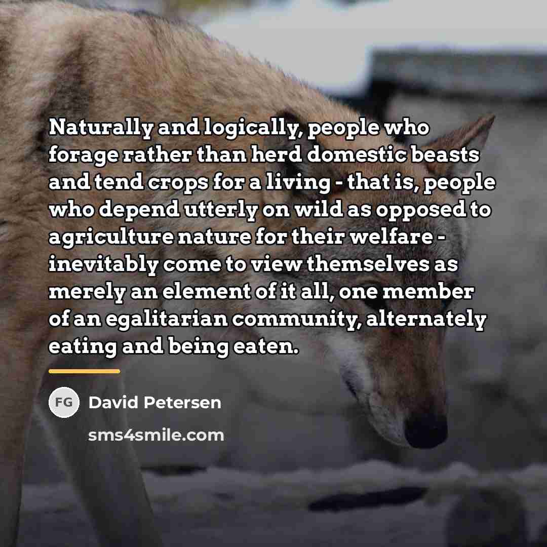 “Naturally and logically, people who forage rather than herd domestic…” quote by David Petersen
