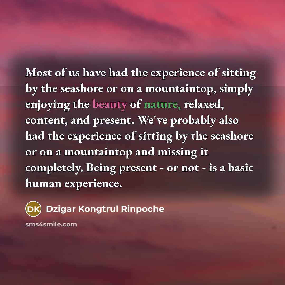 “Most of us have had the experience of sitting by…” quote by Dzigar Kongtrul Rinpoche
