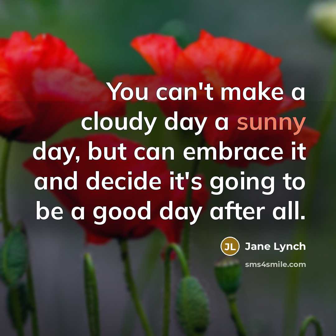 “You can't make a cloudy day a sunny day, but…” quote by Jane Lynch