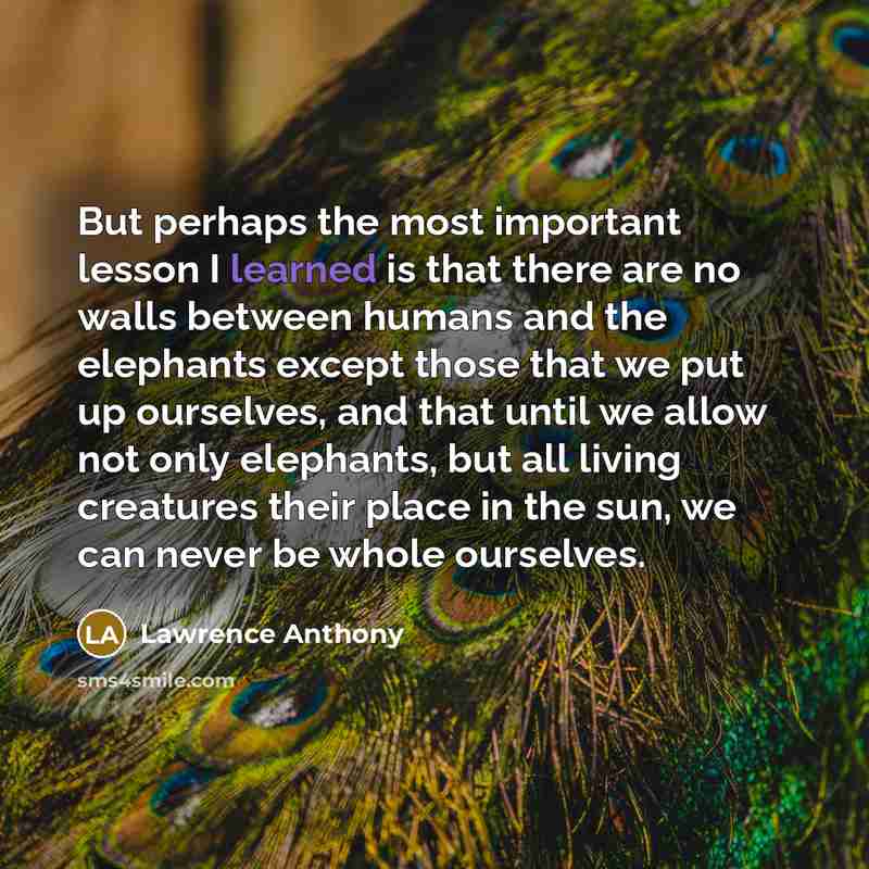 “But perhaps the most important lesson I learned is that…” quote by Lawrence Anthony