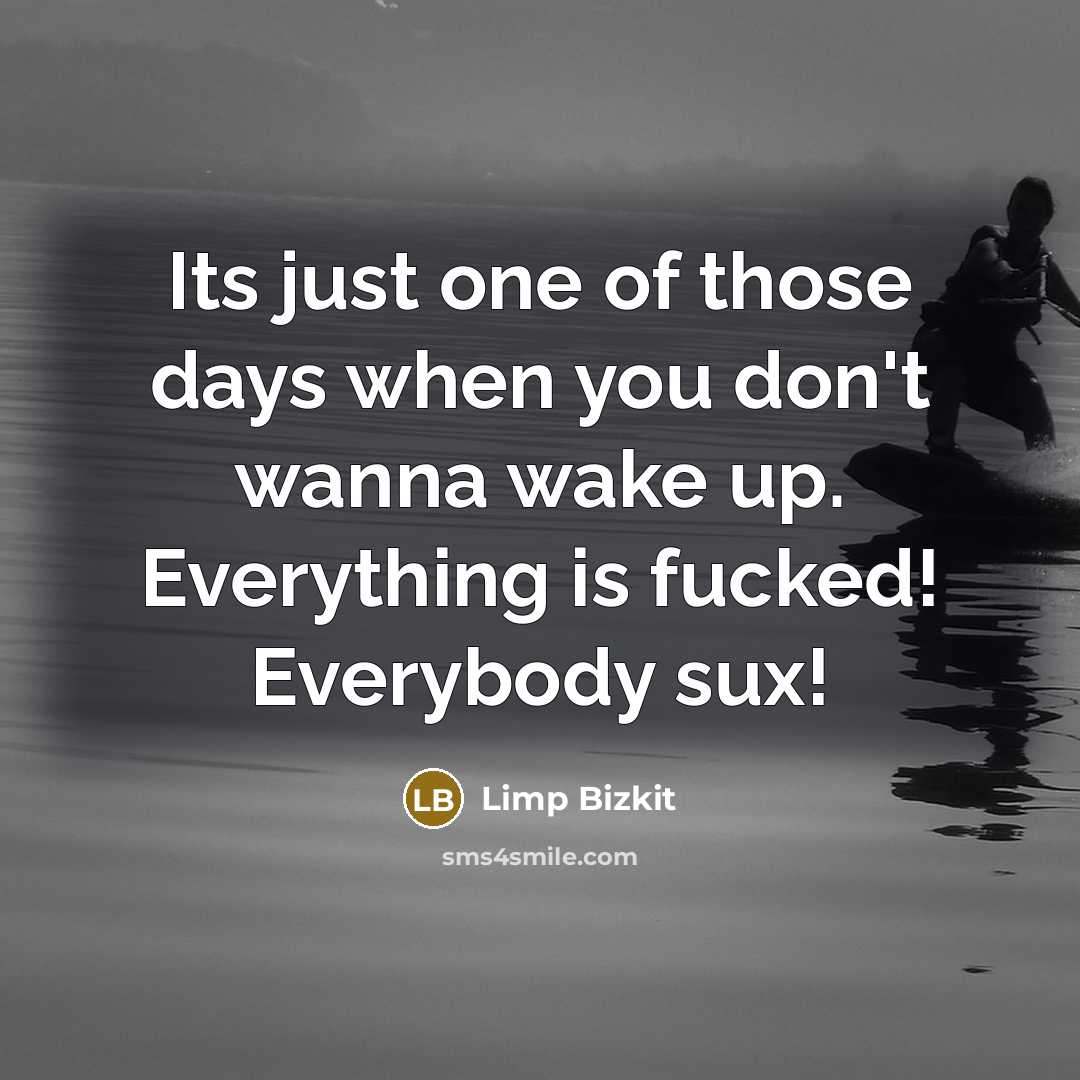 “Its just one of those days when you don't wanna…” quote by Limp Bizkit