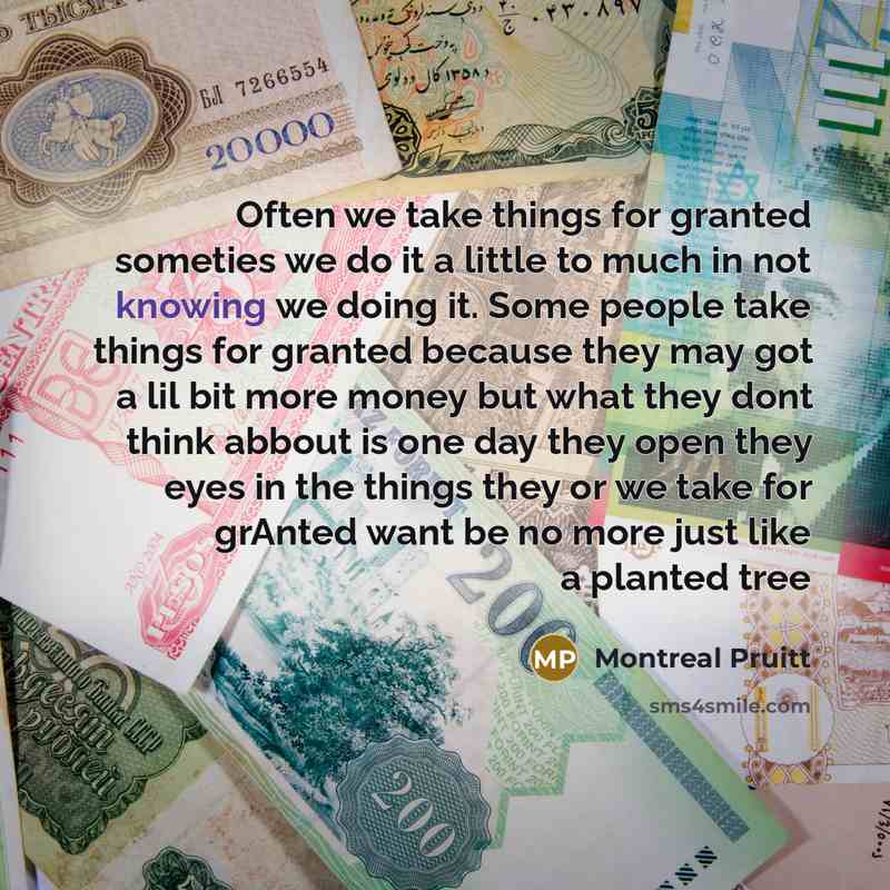 “Often we take things for granted someties we do it a little to much in not knowing we doing it. Some people take things for granted because they may got a lil bit more money but what they dont think abbout is one day they open they eyes in the things they or we take for grAnted want be no more…” quote by Montreal Pruitt