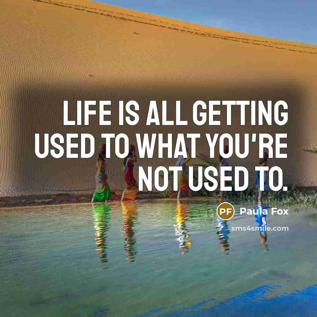 “Life is all getting used to what you're not used…” quote by Paula Fox