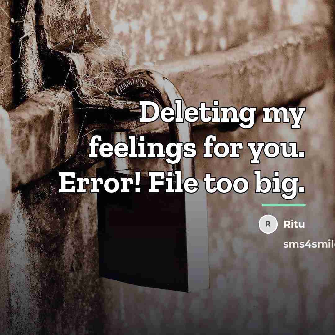“Deleting my feelings for you. Error! File too big.…” quote by Ritu