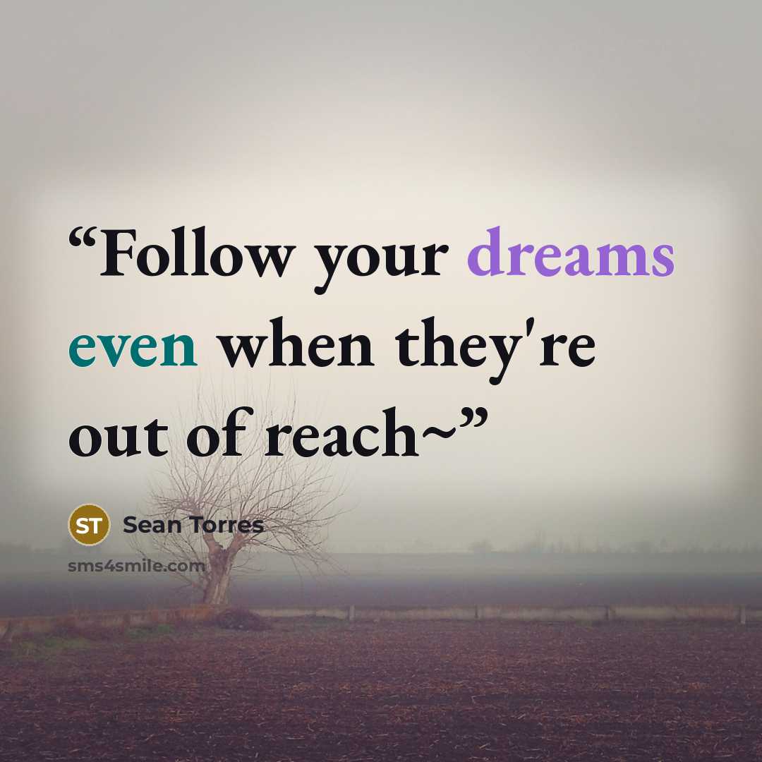 “Follow your dreams even when they're out of reach~” quote by Sean Torres
