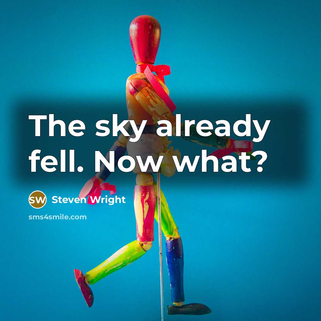 “The sky already fell. Now what?…” quote by Steven Wright