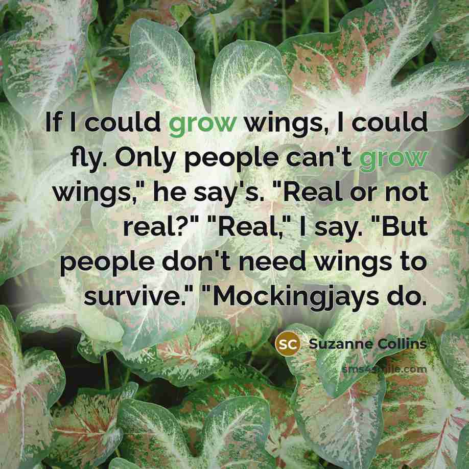“If I could grow wings, I could fly. Only people…” quote by Suzanne Collins