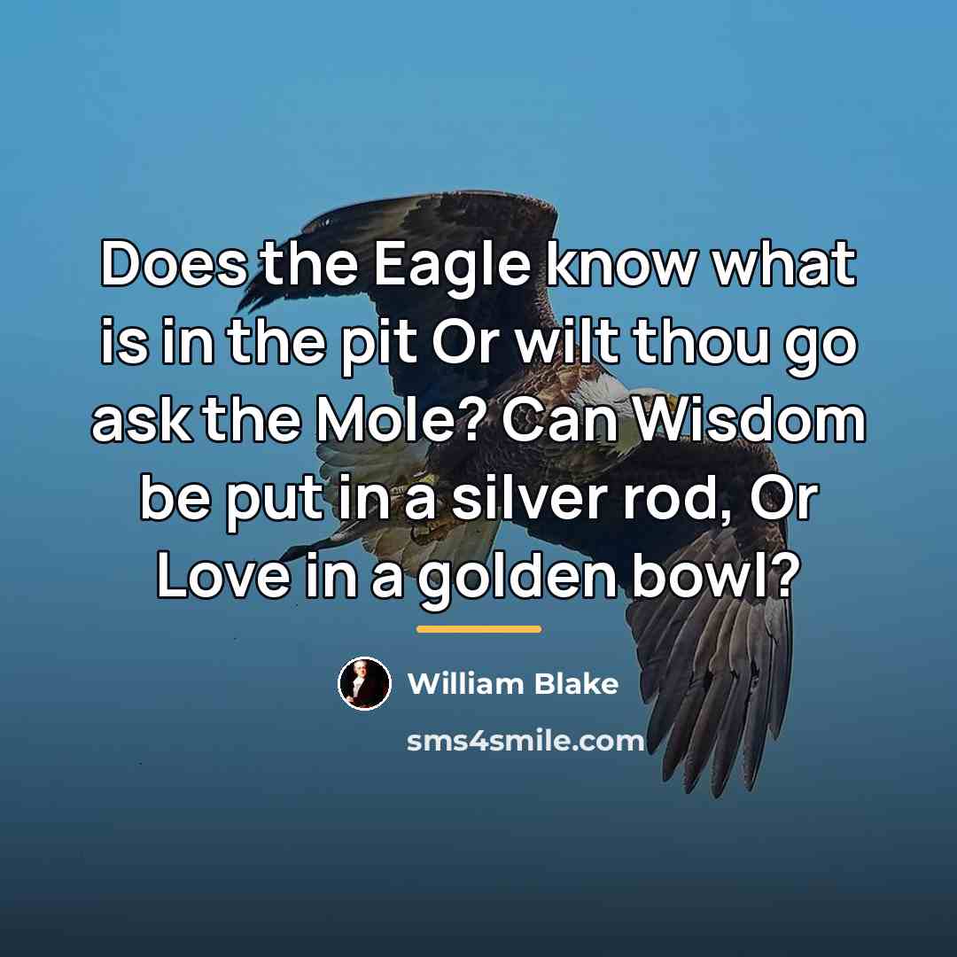 “Does the Eagle know what is in the pit Or…” quote by William Blake