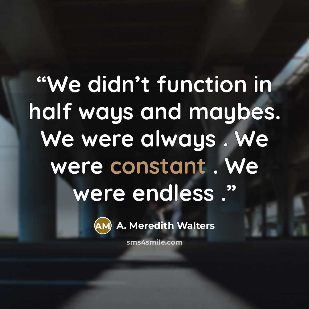 “We didn’t function in half ways and maybes. We were always . We were constant . We were endless .” quote by A. Meredith Walters