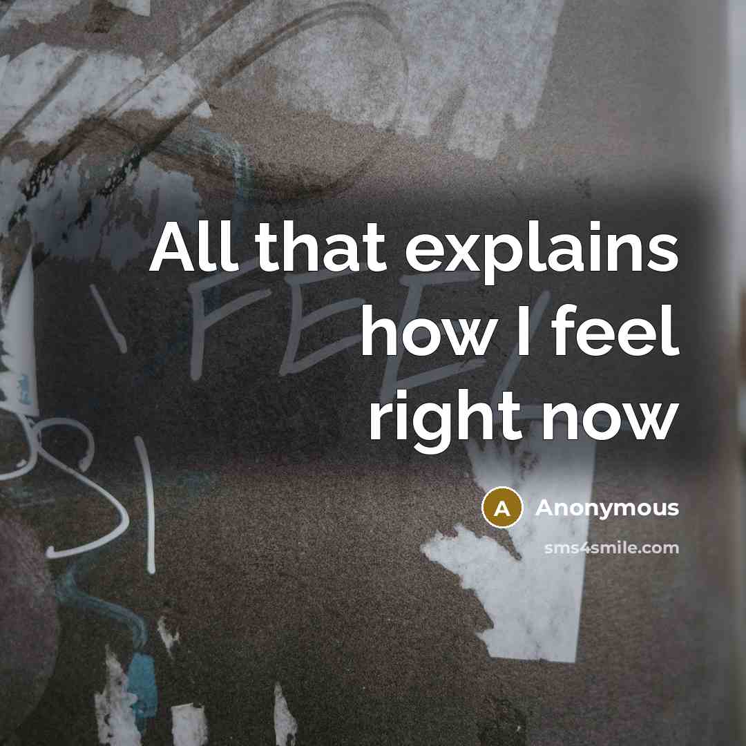 “All that explains how I feel right now” quote by Anonymous