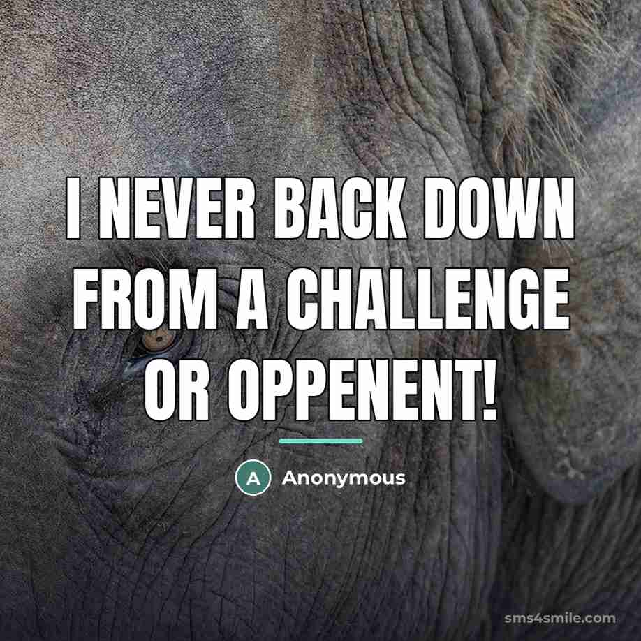 “I never back down from a challenge or oppenent!…” quote by Anonymous