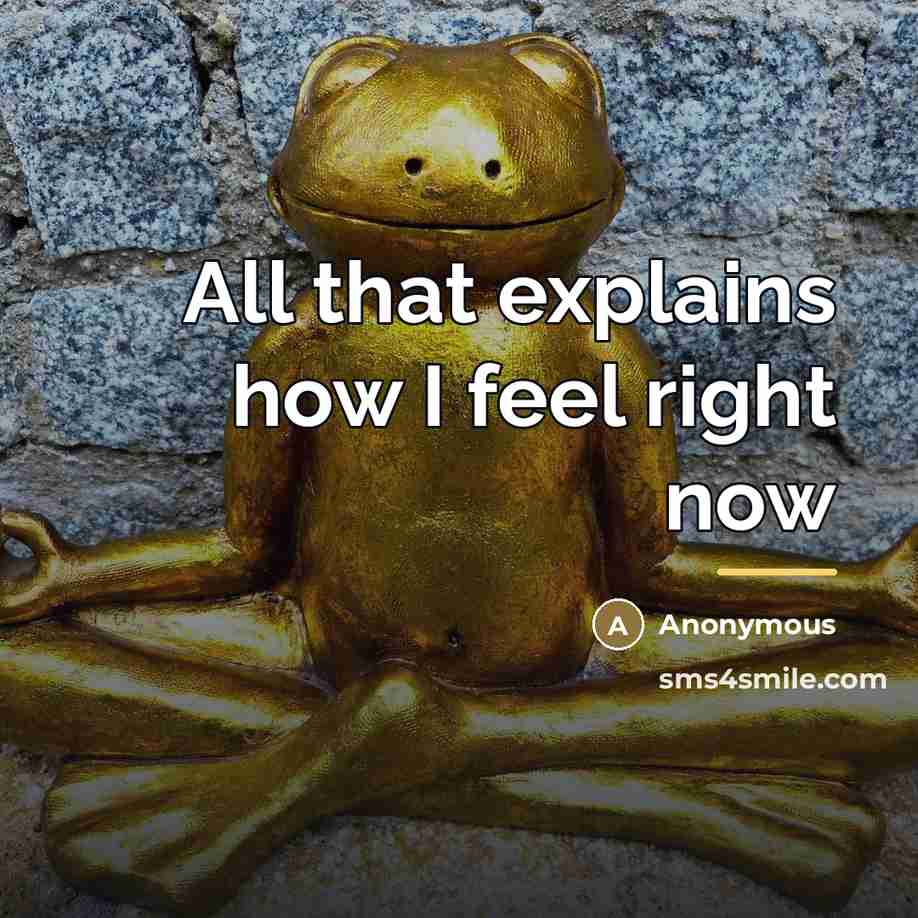“All that explains how I feel right now…” quote by Anonymous