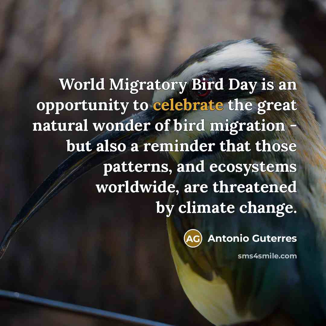 “World Migratory Bird Day is an opportunity to celebrate the…” quote by Antonio Guterres