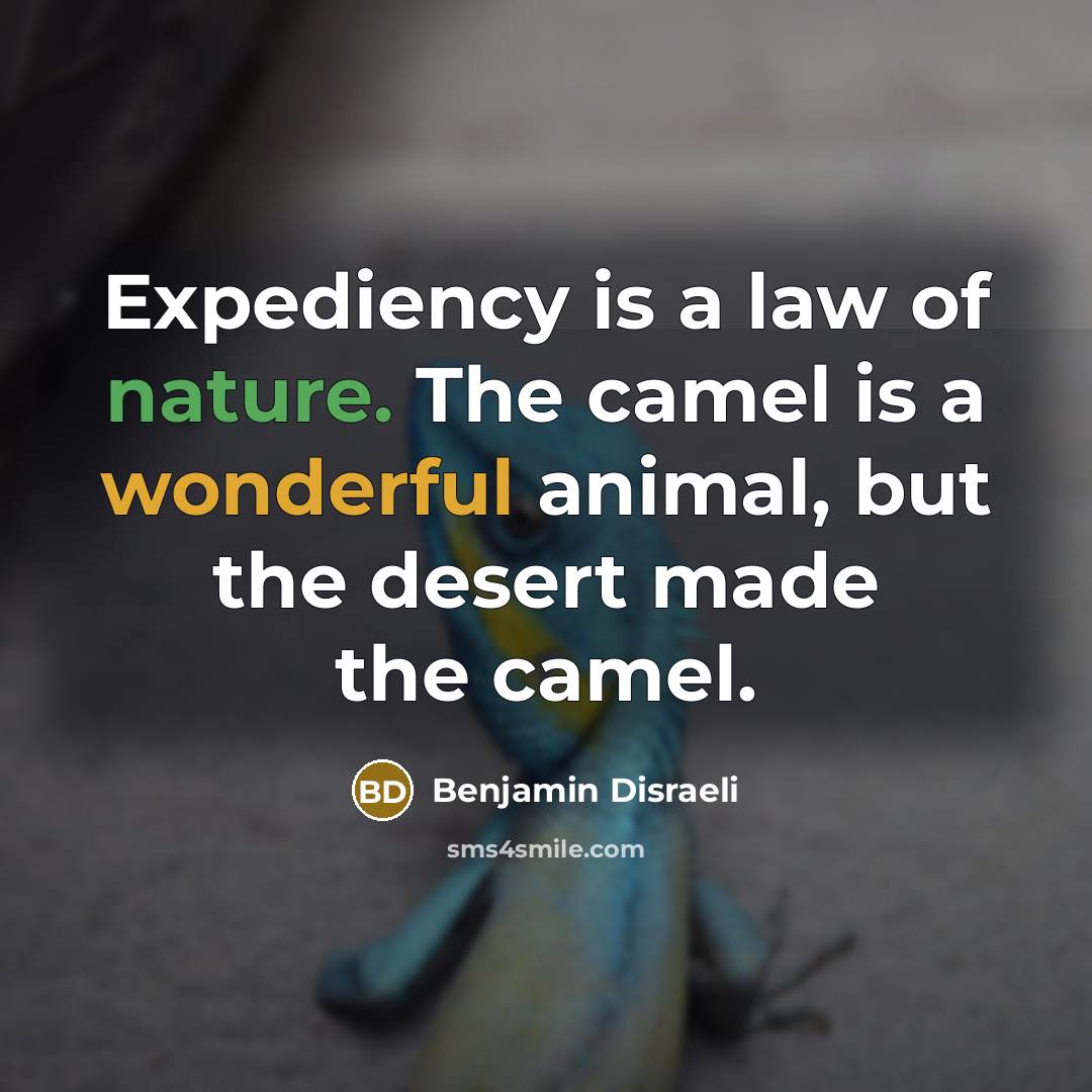“Expediency is a law of nature. The camel is a…” quote by Benjamin Disraeli