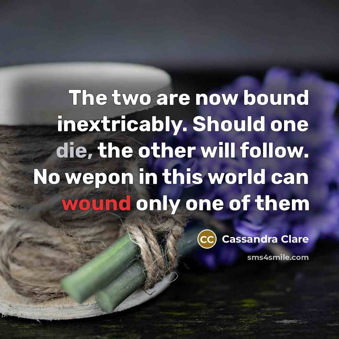 “The two are now bound inextricably. Should one die, the other will follow. No wepon in this world can wound only one of them” quote by Cassandra Clare
