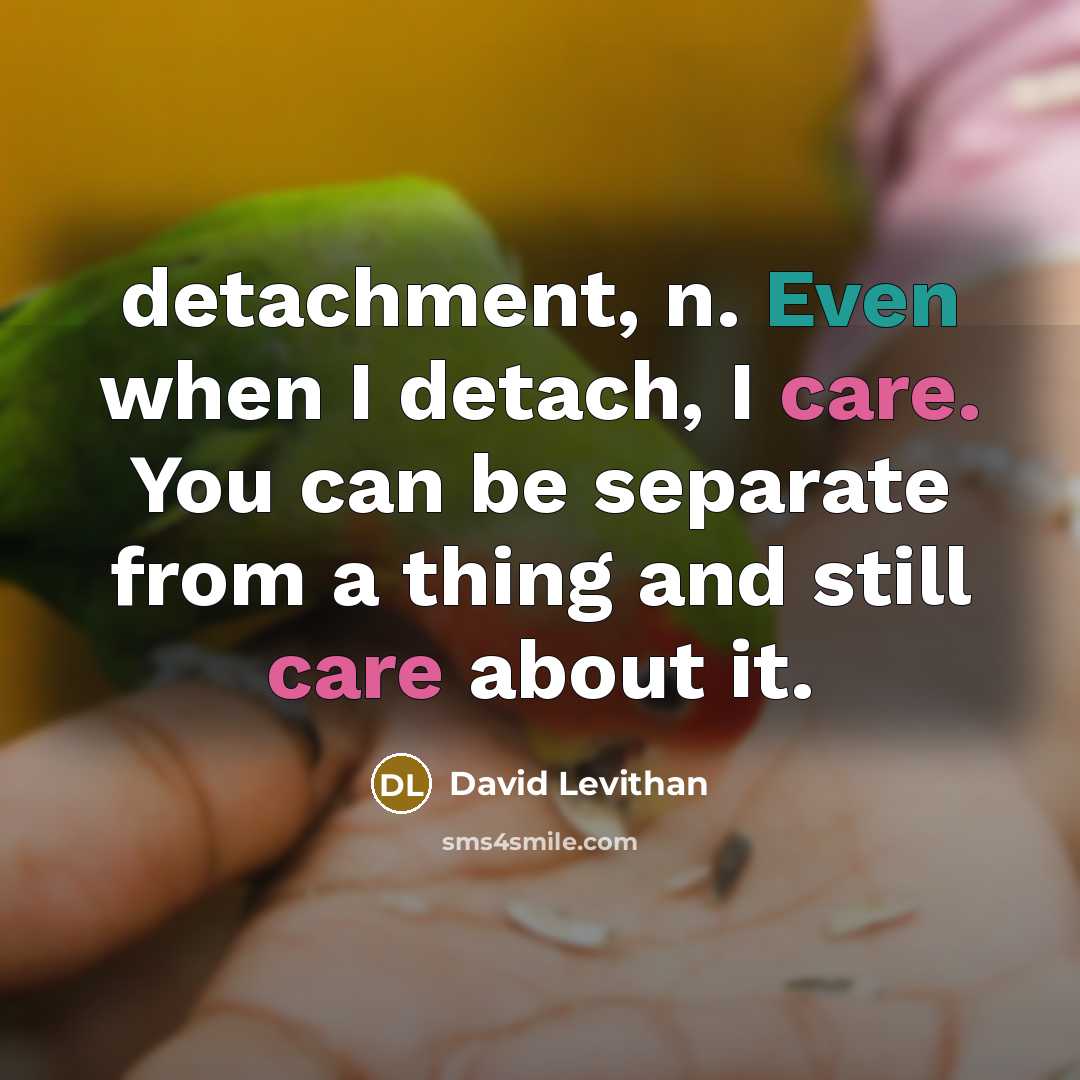 “detachment, n. Even when I detach, I care. You can…” quote by David Levithan