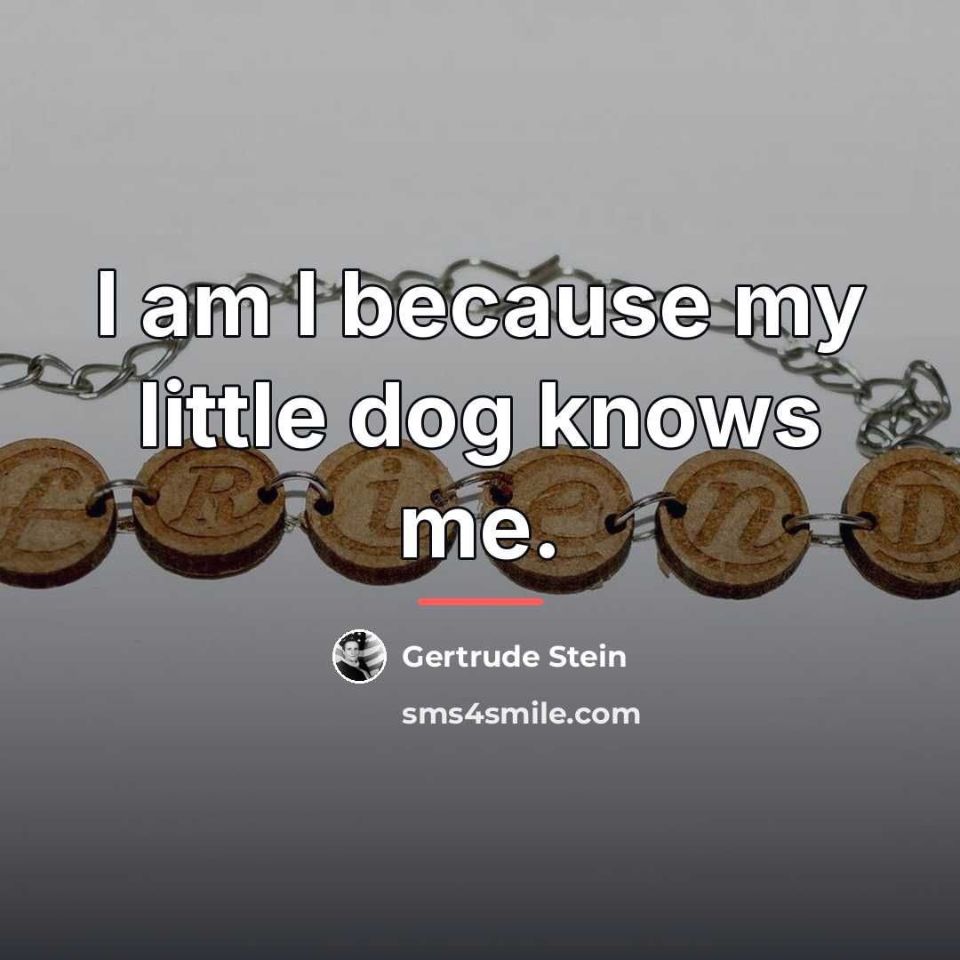 “I am I because my little dog knows me.…” quote by Gertrude Stein