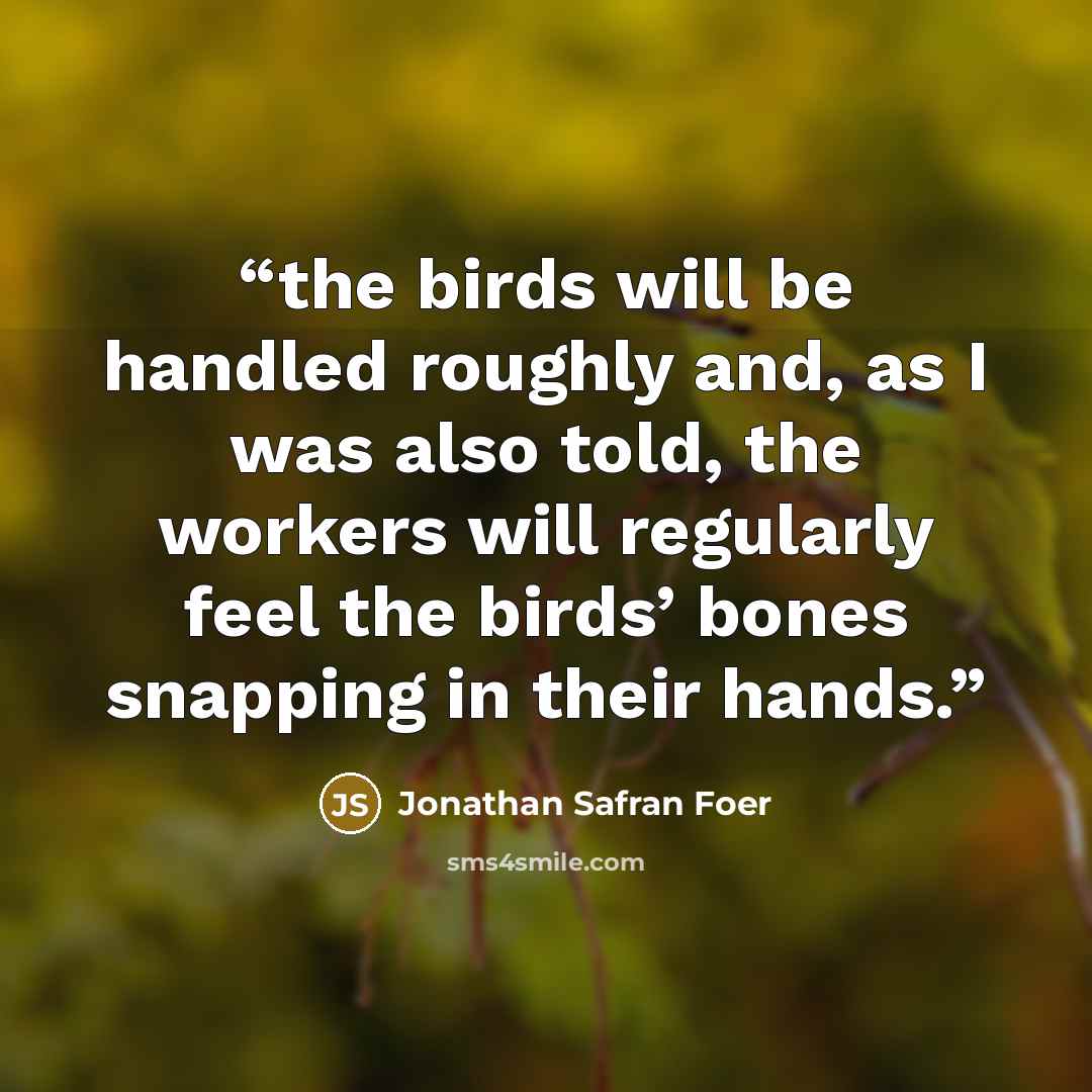 “the birds will be handled roughly and, as I was also told, the workers will regularly feel the birds’ bones snapping in their hands.” quote by Jonathan Safran Foer