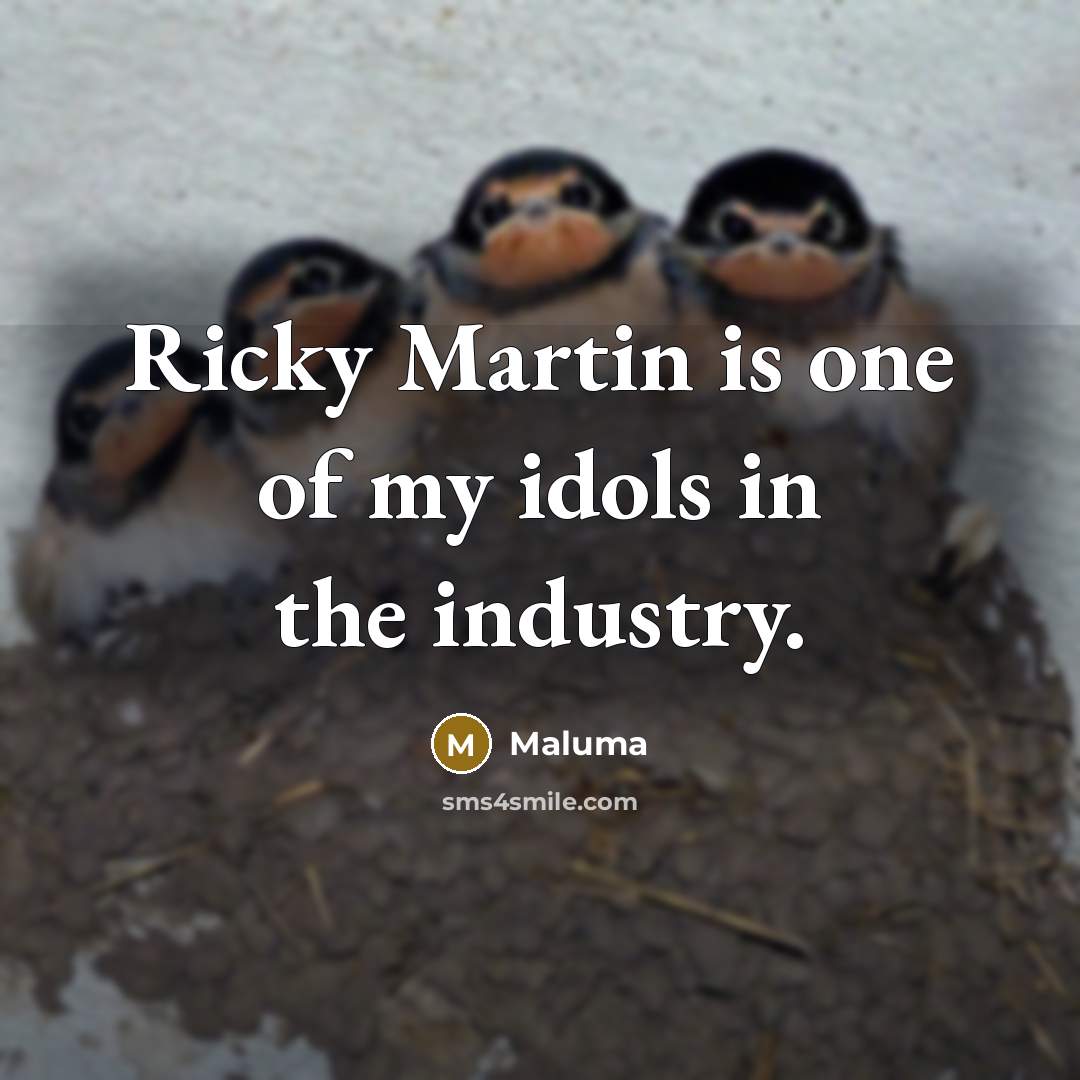 “Ricky Martin is one of my idols in the industry.…” quote by Maluma