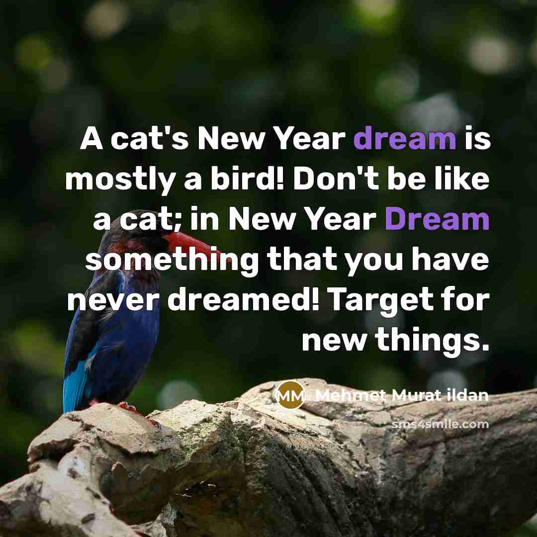 “A cat's New Year dream is mostly a bird! Don't…” quote by Mehmet Murat Ildan