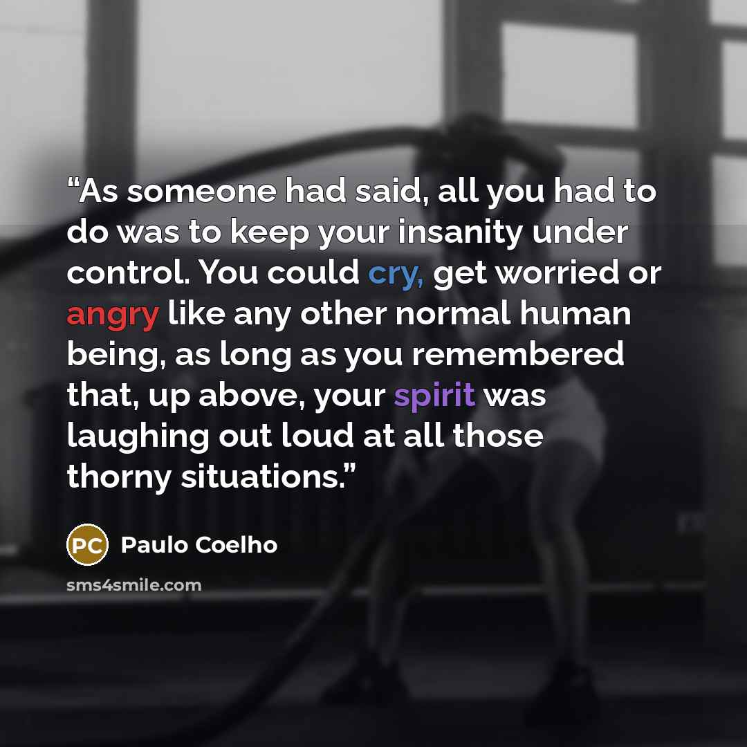 “As someone had said, all you had to do was to keep your insanity under control. You could cry, get worried or angry like any other normal human being, as long as you remembered that, up above, your spirit was laughing out loud at all those thorny situations.” quote by Paulo Coelho