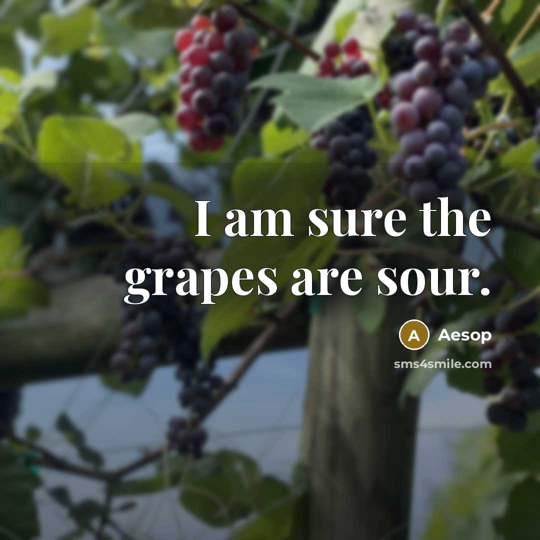 “I am sure the grapes are sour.…” quote by Aesop