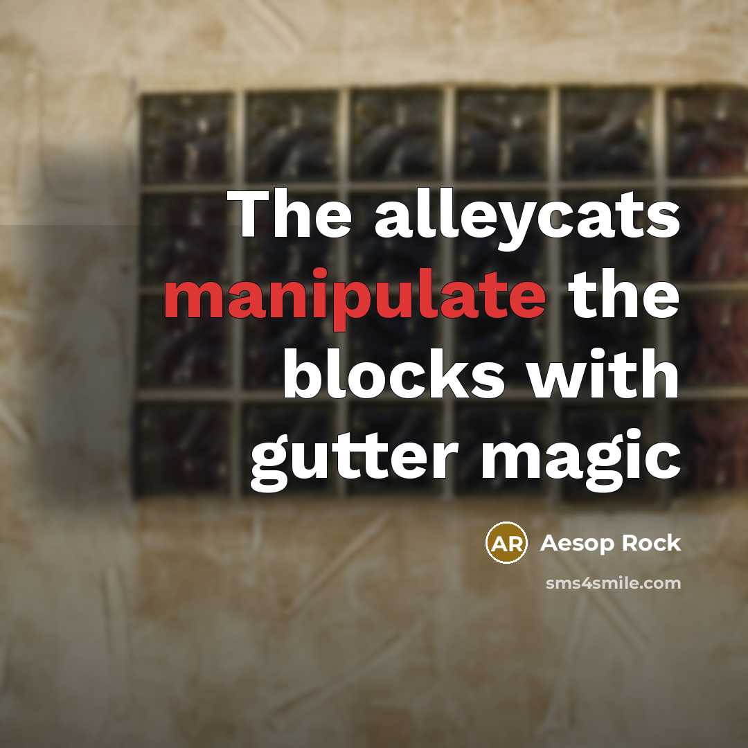 “The alleycats manipulate the blocks with gutter magic…” quote by Aesop Rock