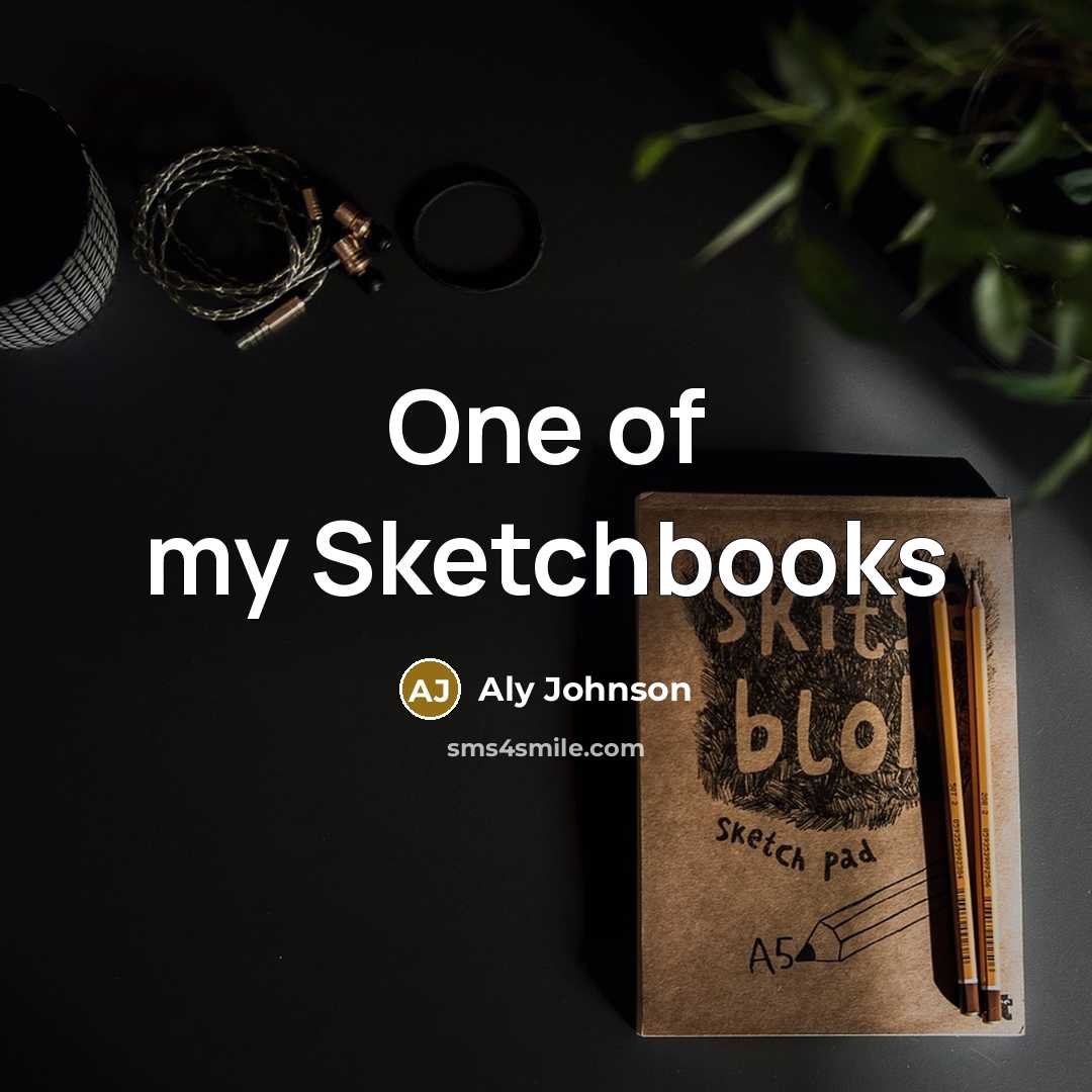 “One of my Sketchbooks…” quote by Aly Johnson